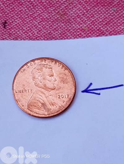 جل الديب المتن