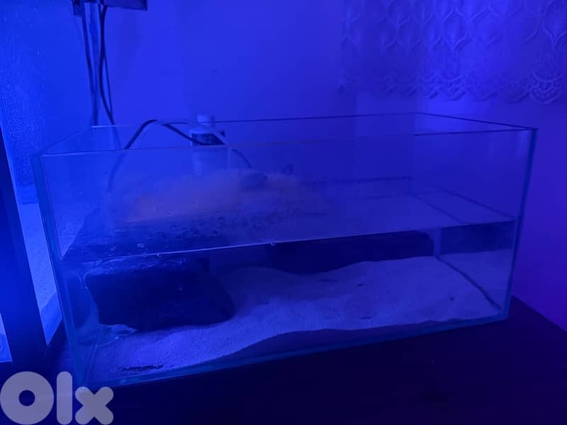 4 fresh water aquariums for sale with all the equipment for sale 6