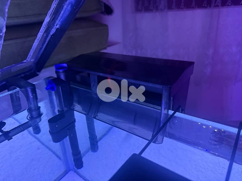 4 fresh water aquariums for sale with all the equipment for sale 8