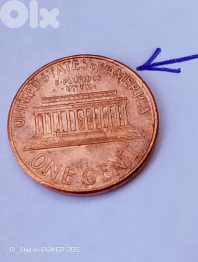 جل الديب المتن