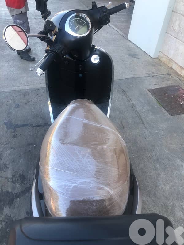 veterano vespa copy 2