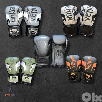 venum/everlast/fairtex boxing gloves