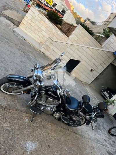 hassrout chouf 03971003