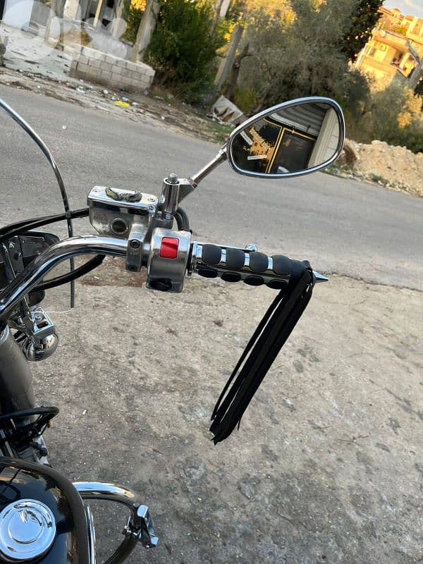 hassrout chouf 03971003 2