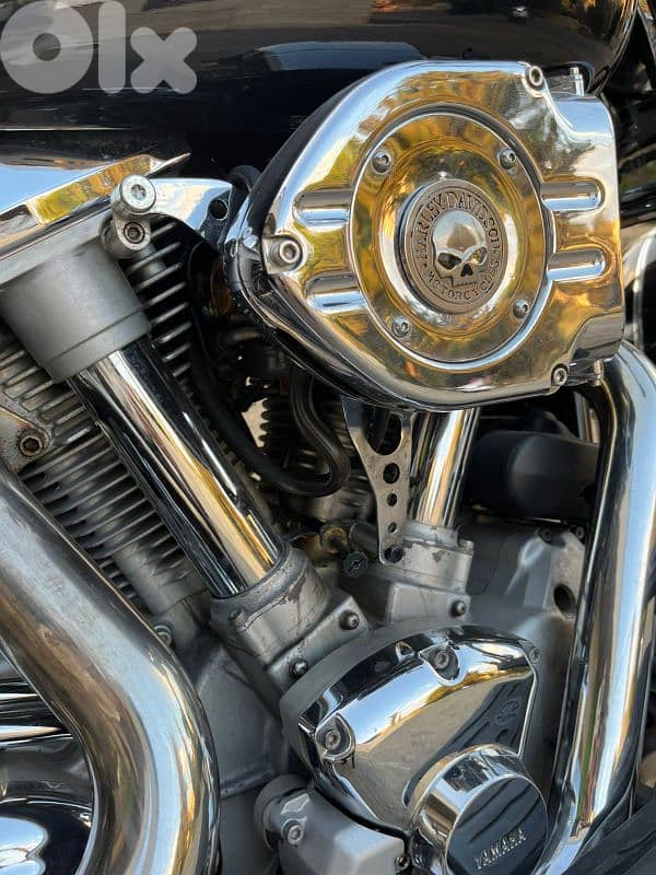 hassrout chouf 03971003 10