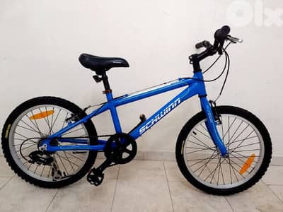 بسكليت schwinn usa