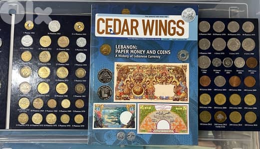 Paper Money and Coins