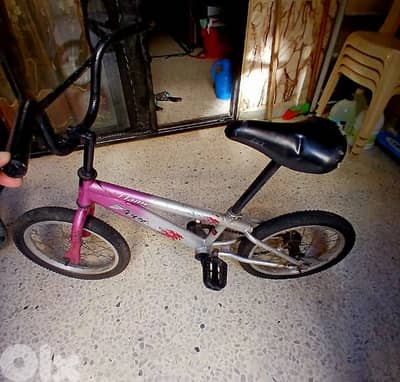 صيدا عين الدلب