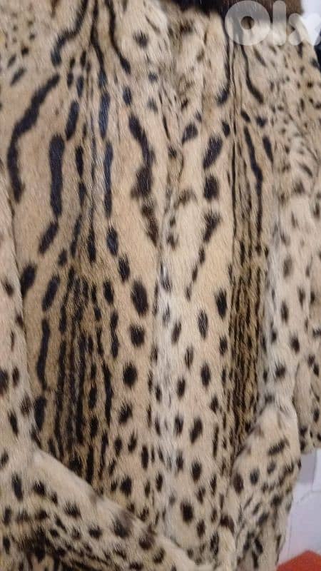 معطف فرو الفهد 1