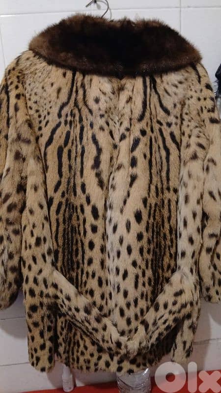 معطف فرو الفهد 3