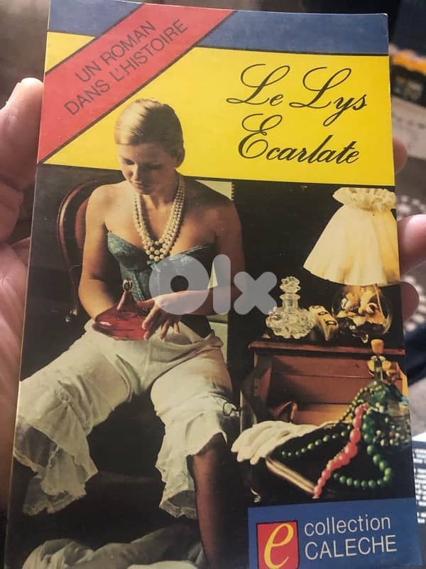 قصص من الادب الاباحي الفرنسي 10