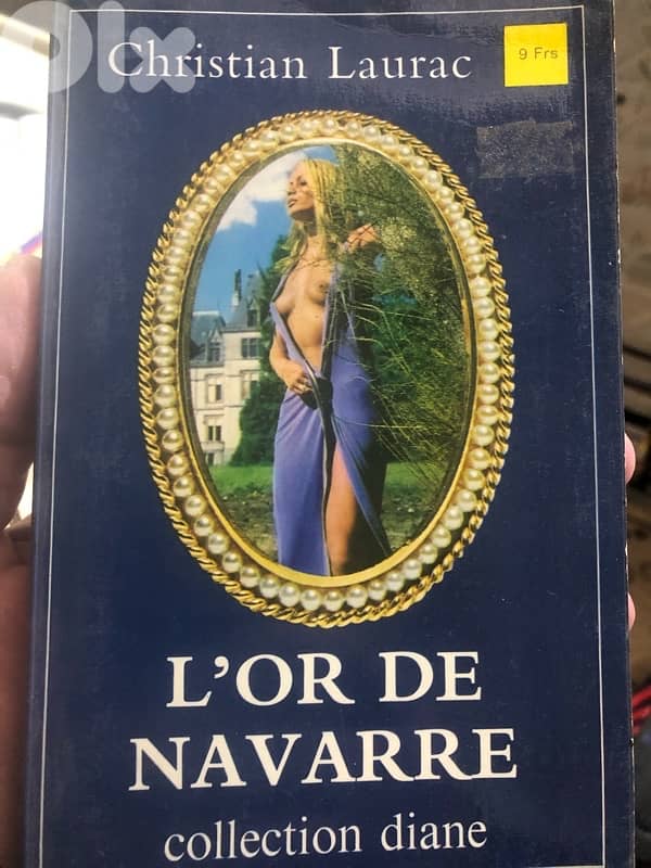 قصص من الادب الاباحي الفرنسي 13