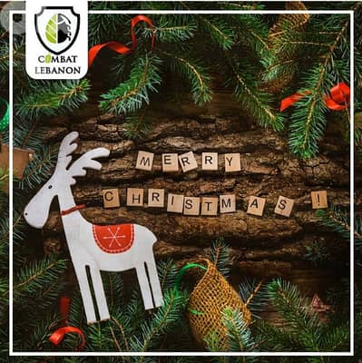 pest control services 01 700538  /03 751538 رش مبيدات