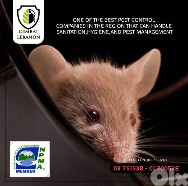 pest control services 01 700538  /03 751538 رش مبيدات 1