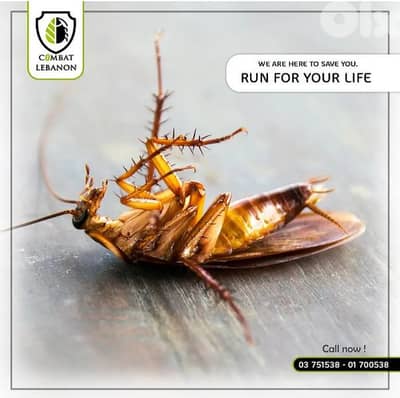 pest control services 01 700538  /03 751538 رش مبيدات