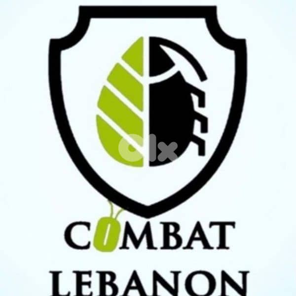 Deap cleaning 01 700538 / 03 751538 تنظيف منازل 1