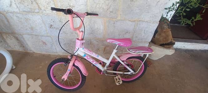 Rollers   plus bicycle