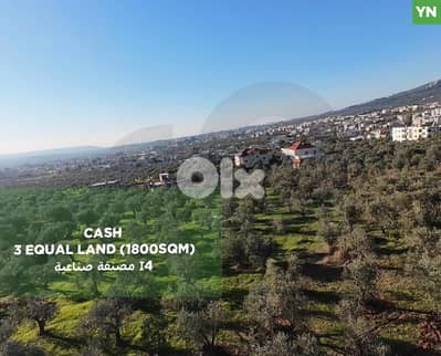 fully planted with mature olive trees, zgharta, rashiin REF#YN129611