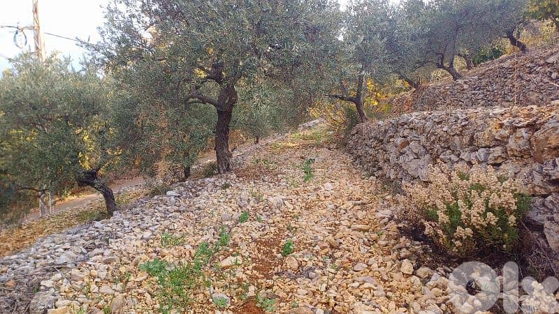 lands for sale in Sourat أرض للبيع في صورات 1