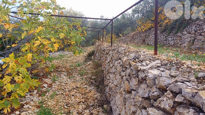 lands for sale in Sourat أرض للبيع في صورات 2