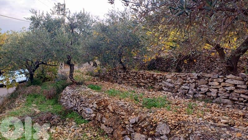 lands for sale in Sourat أرض للبيع في صورات 4