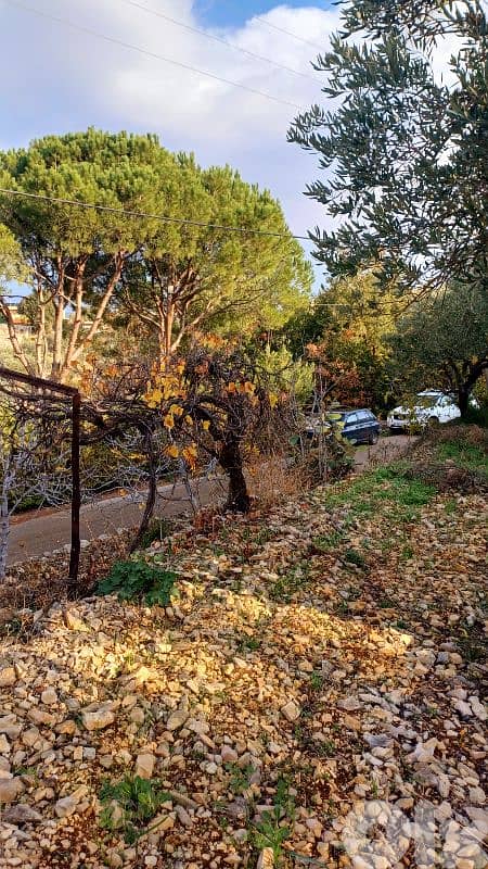 lands for sale in Sourat أرض للبيع في صورات 5