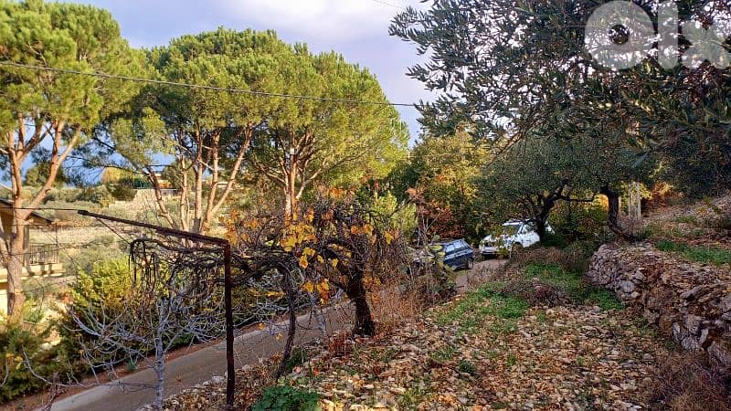 lands for sale in Sourat أرض للبيع في صورات 6