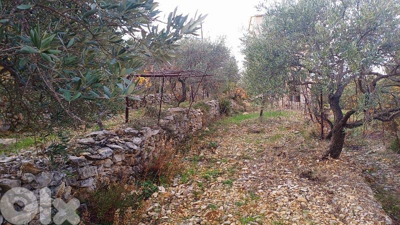 lands for sale in Sourat أرض للبيع في صورات 7