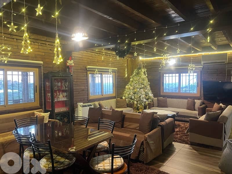 Villa Beit Jabbour fully equipped fits up to 25 sleeping persons 11