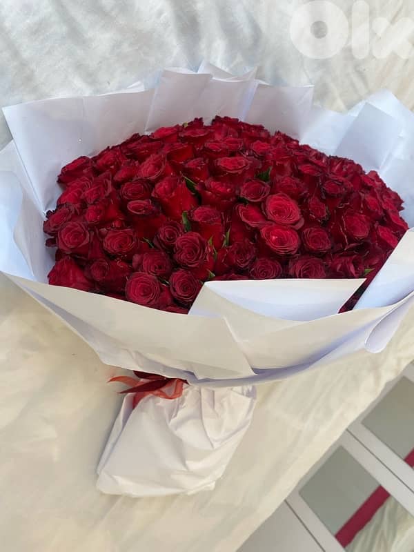 100 red roses 1