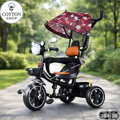 Baby & Kids Tricycle