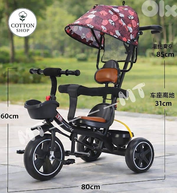 Baby & Kids Tricycle 2