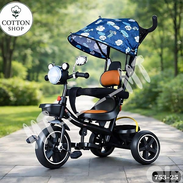 Baby & Kids Tricycle 4