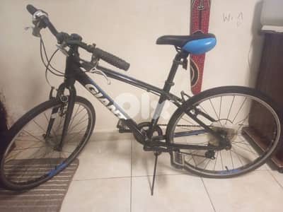 بسكلات ماركة GIANT غنية عن التعريف