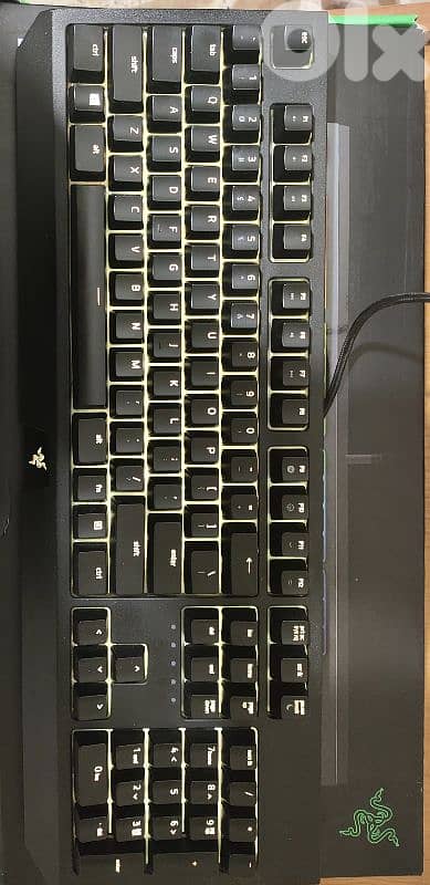 Razer Blackwidow 2