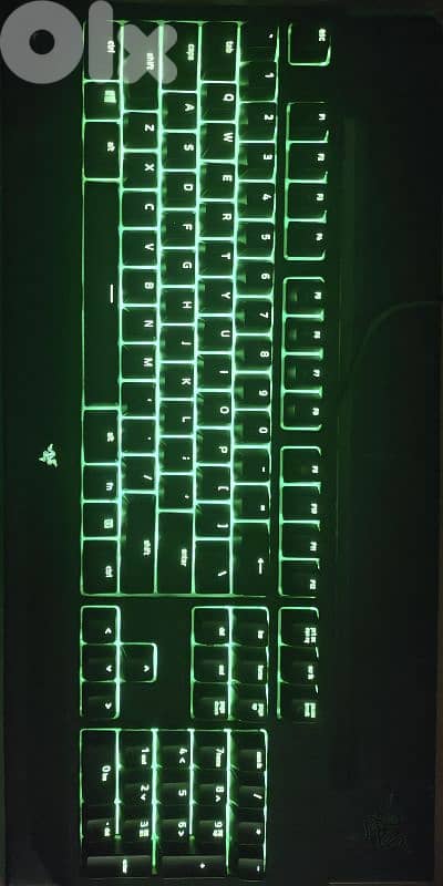 Razer Blackwidow 4