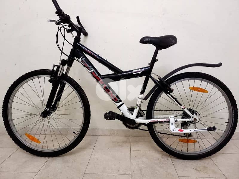 بسكليت Germany 1