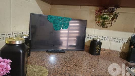 النبطيه جبشيت