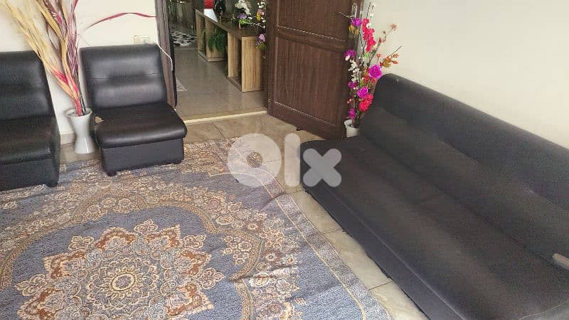 النبطيه جبشيت 7