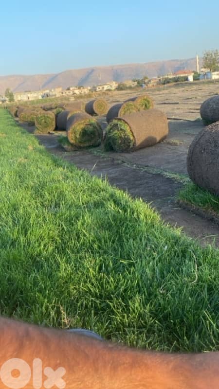 غازون رول بجميع أنواعه 6