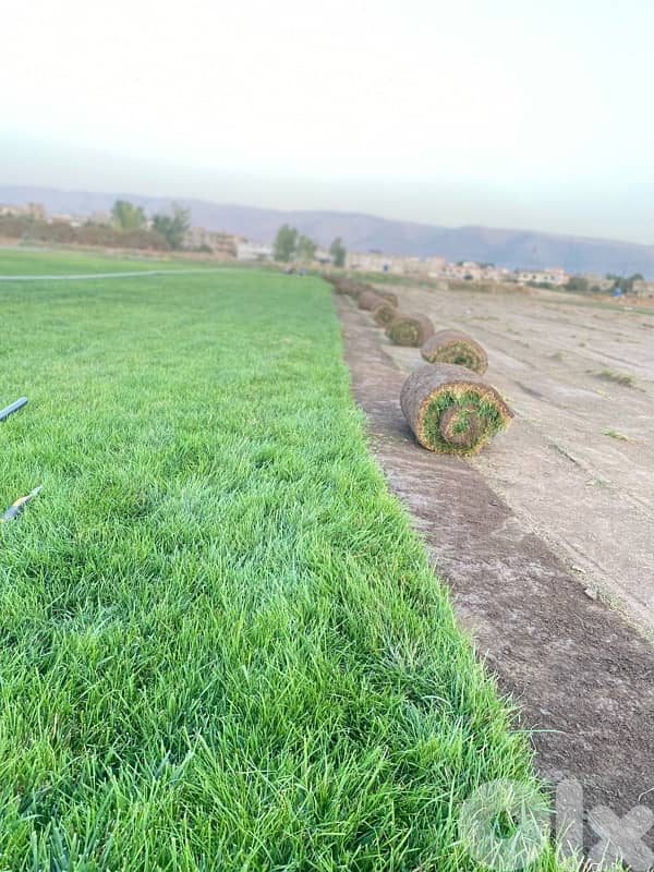 غازون رول بجميع أنواعه 7