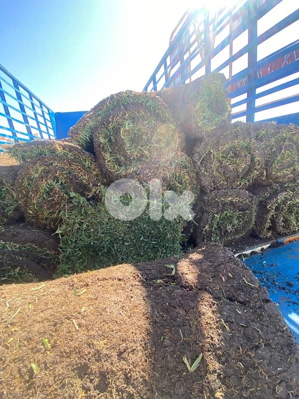 غازون رول بجميع أنواعه 8