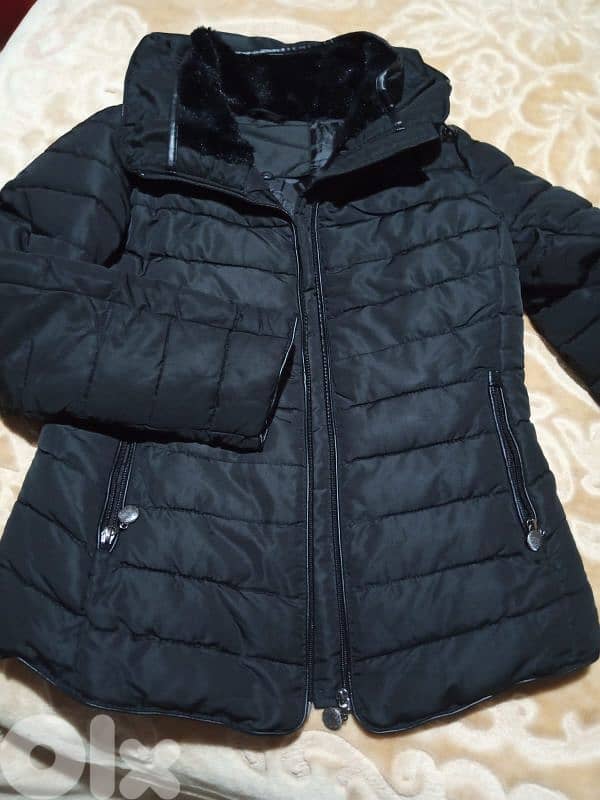 النبطيه تول 1