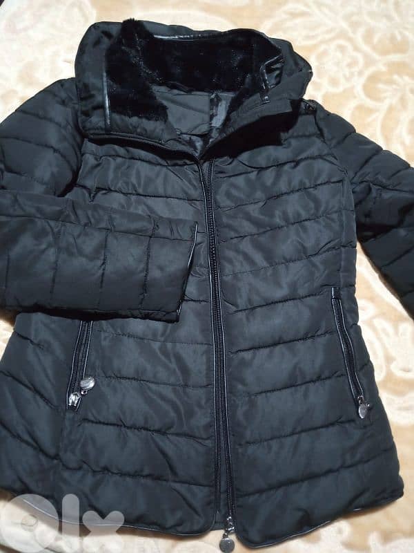 النبطيه تول 2