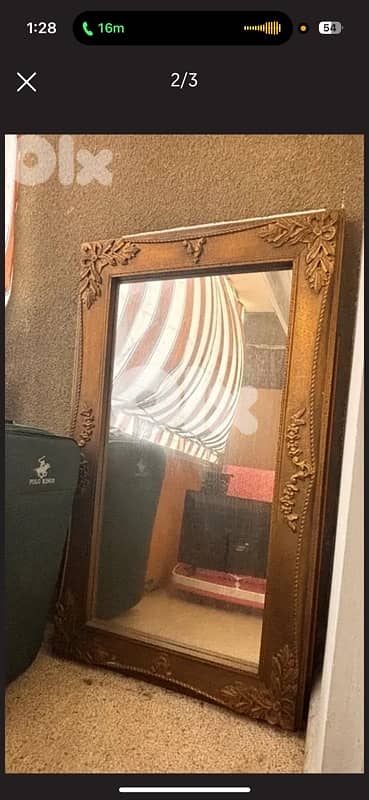 bug antique mirror 1