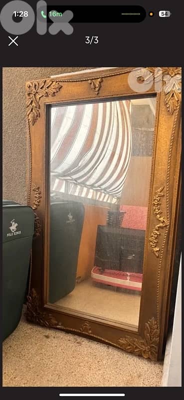 bug antique mirror 2