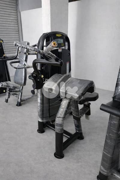 Biceps and Triceps Machines