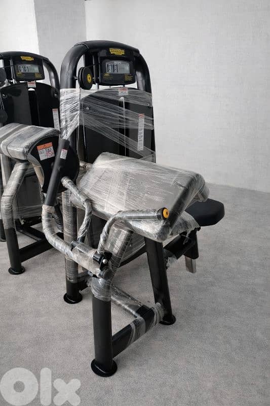 Biceps and Triceps Machines 1