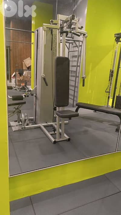 Pack Fly Machine Geo Gym Equipment معدات رياضية متنوعة