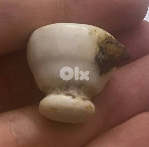 غطاء قنينة زجاجية عليها شعار نازي Nazi button 2